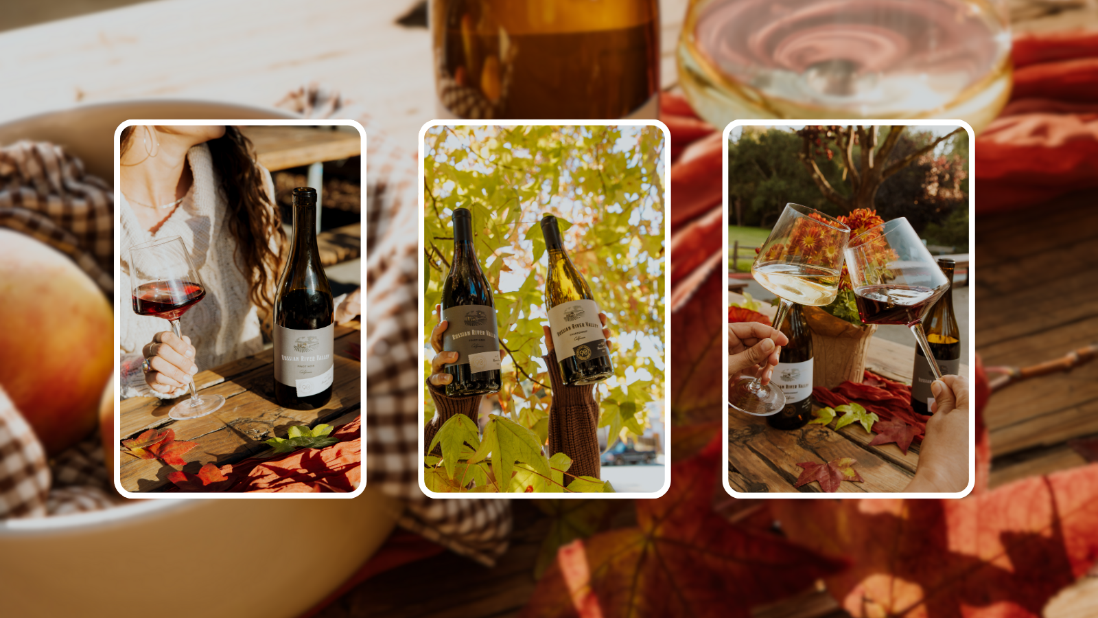 Comforting Fall Recipes and Wine Pairings