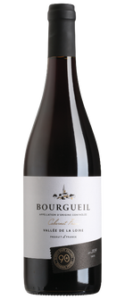 90+ Cellars Lot 209 Bourgueil, Cabernet Franc, Loire Valley, France