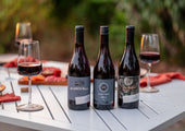 Exploring the World of Pinot Noir