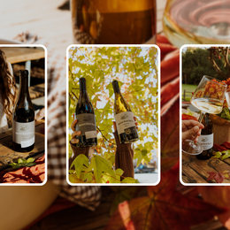 Comforting Fall Recipes and Wine Pairings