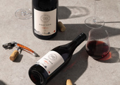 Exploring the World of Pinot Noir