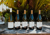 90+ Cellars White Wines of the Loire Valley