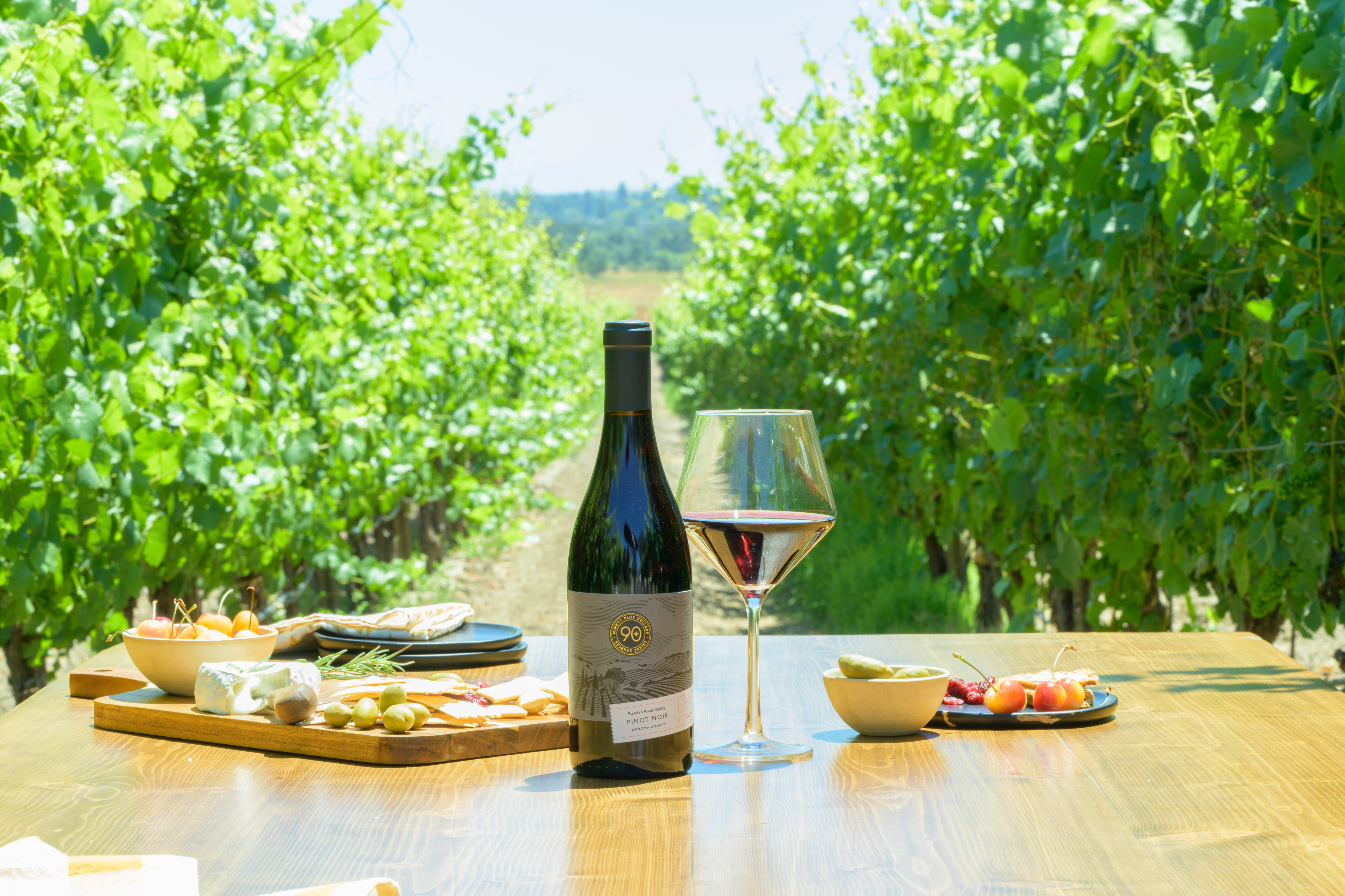 Exploring the World of Pinot Noir