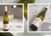 Explore Riesling from Germany 