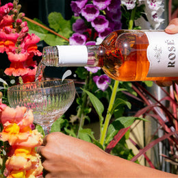 Wine Pairings for Springtime