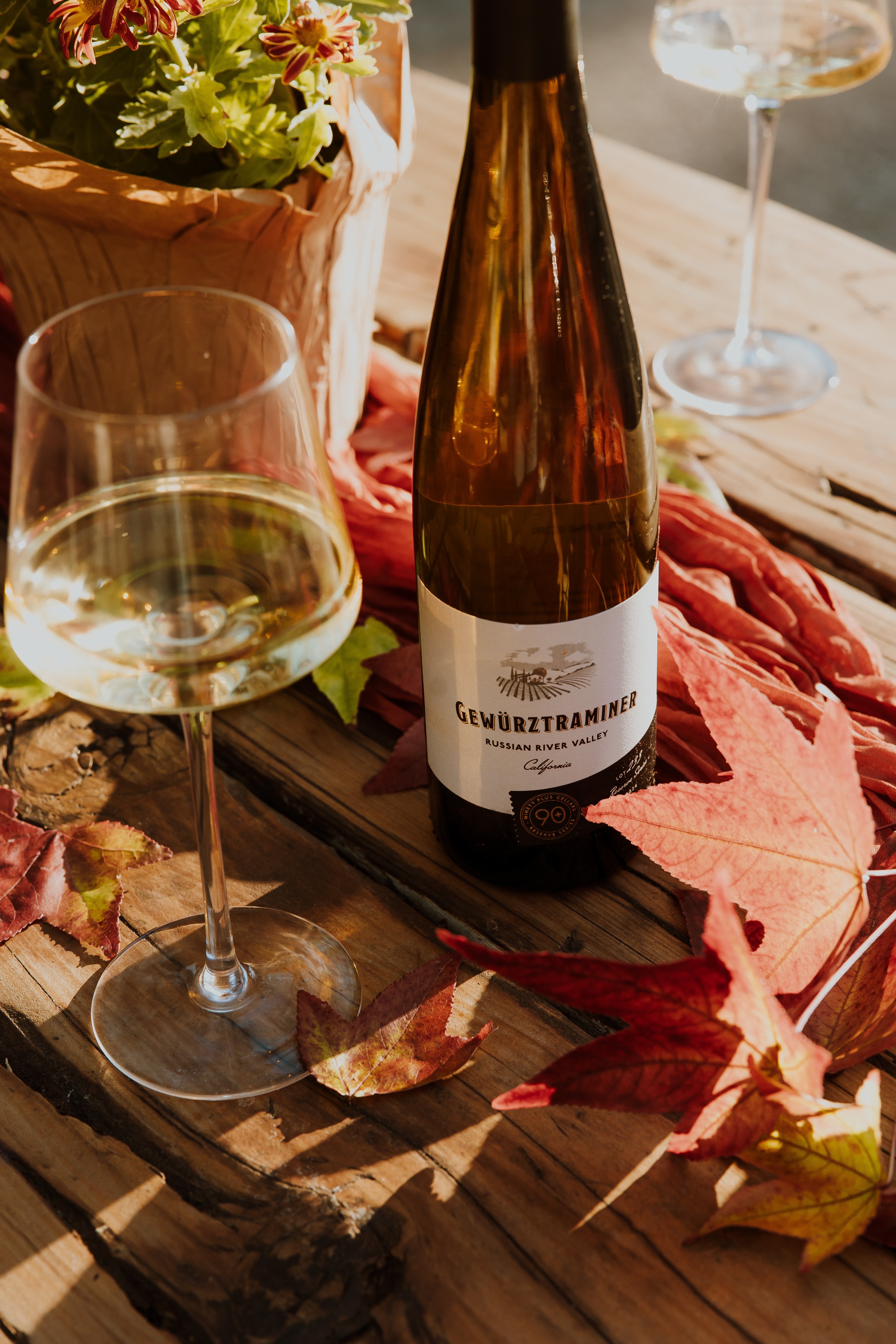 90+ Cellars Fall Wines