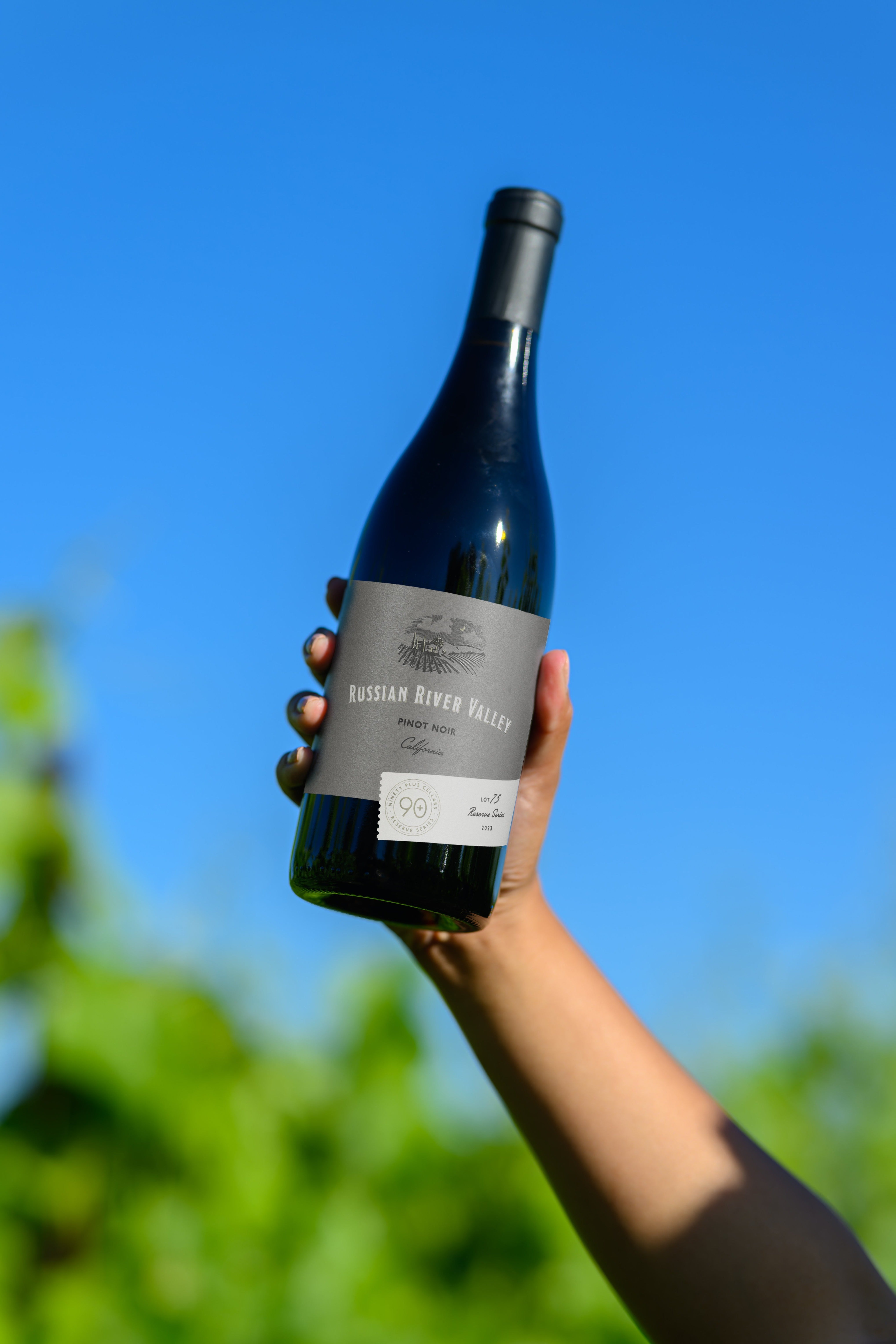 The future of wine is SUSTAINABLE