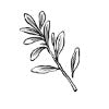 Herbs