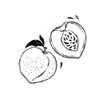 Stone Fruit
