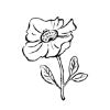 Floral