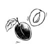 Plum